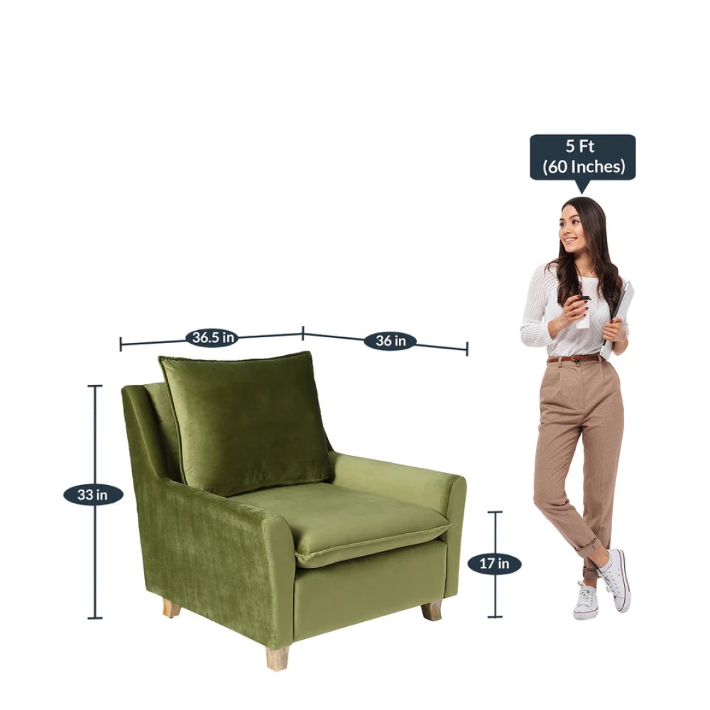 Alma Velvet Full Back Lounge Chair In Olive Green Color image