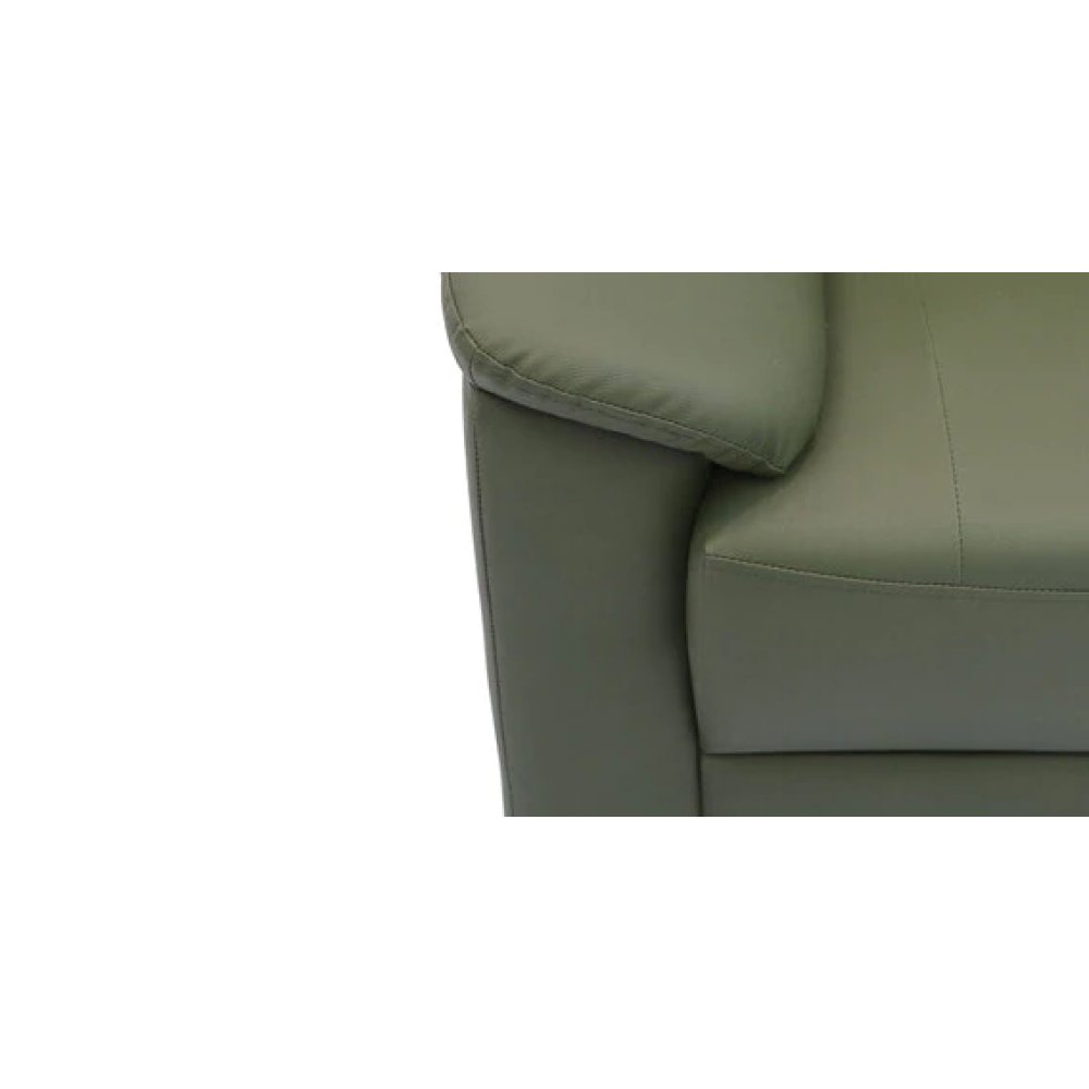Croma Leatherette 2 Seater Sofa in Olive Green Color image