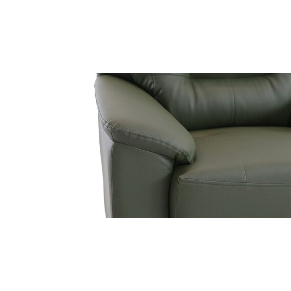 Croma Leatherette 2 Seater Sofa in Olive Green Color image