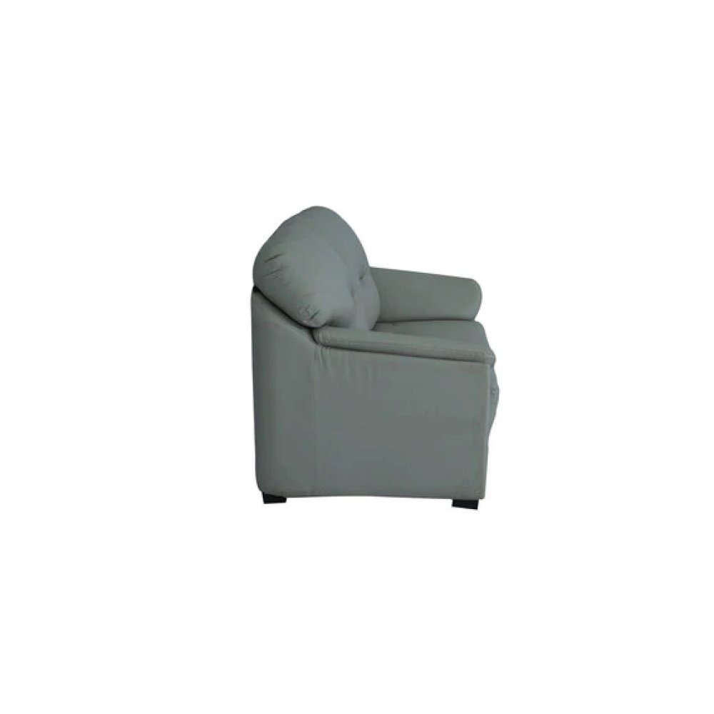 Croma Leatherette 2 Seater Sofa in Grey Color image