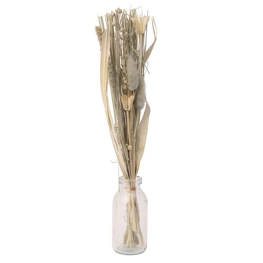Liliana Dried Floral Silver Haze (small) image