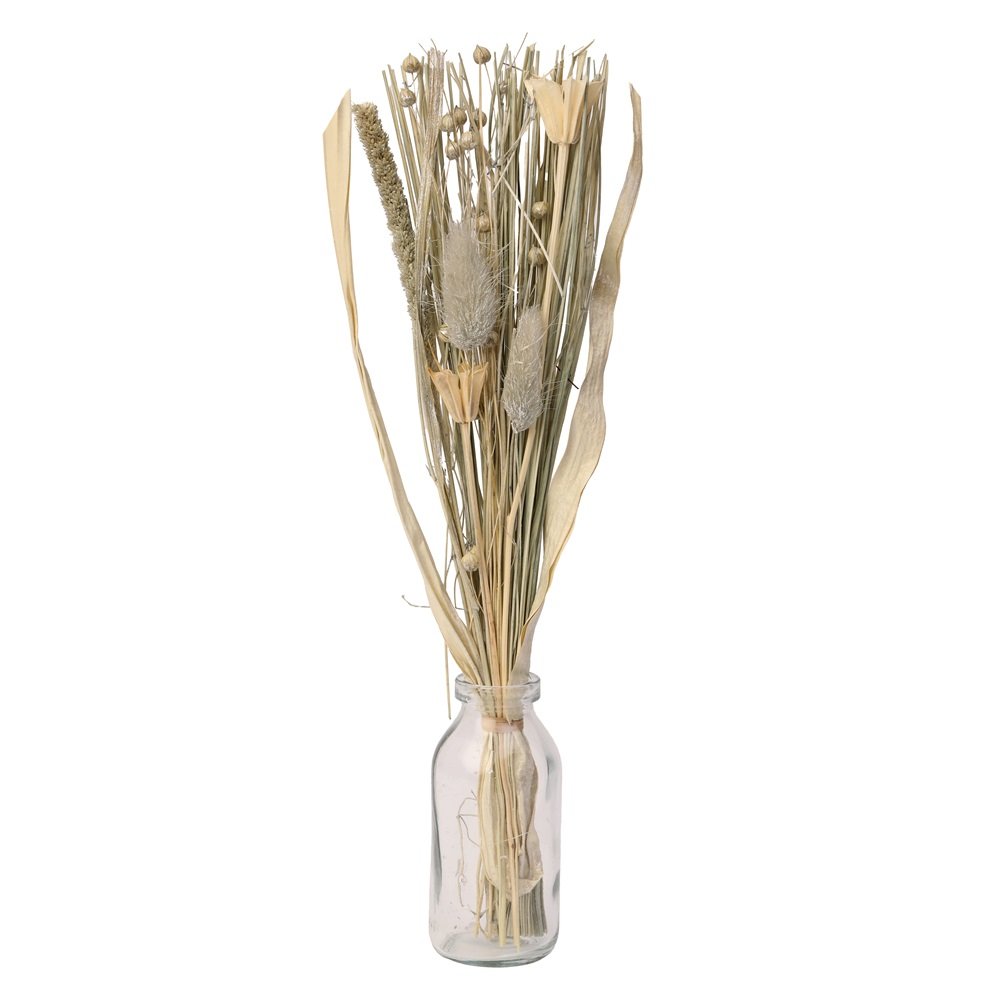 Liliana Dried Floral Silver Haze (small) image