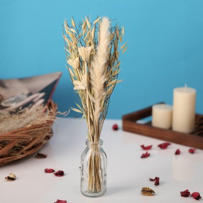 Liliana Dried Floral Bunny Tail (small)