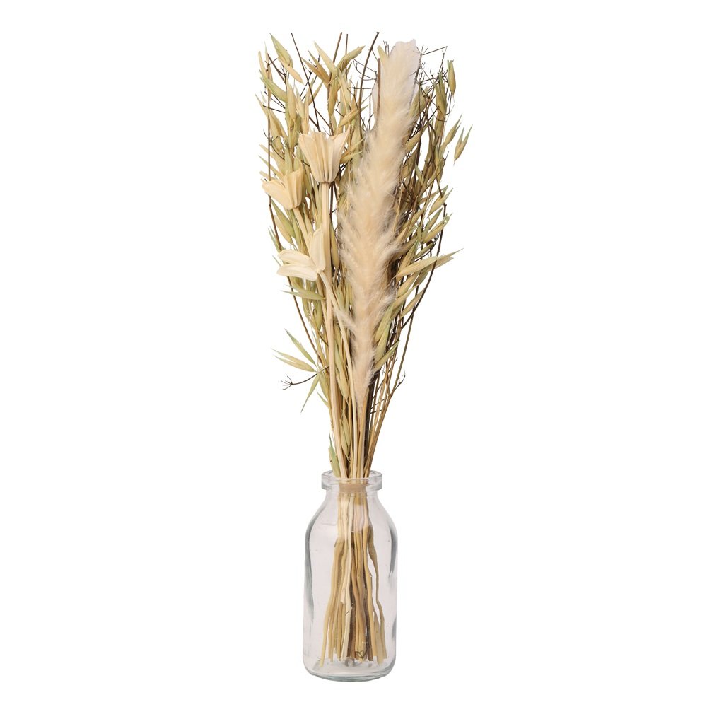 Liliana Dried Floral Bunny Tail (small) image