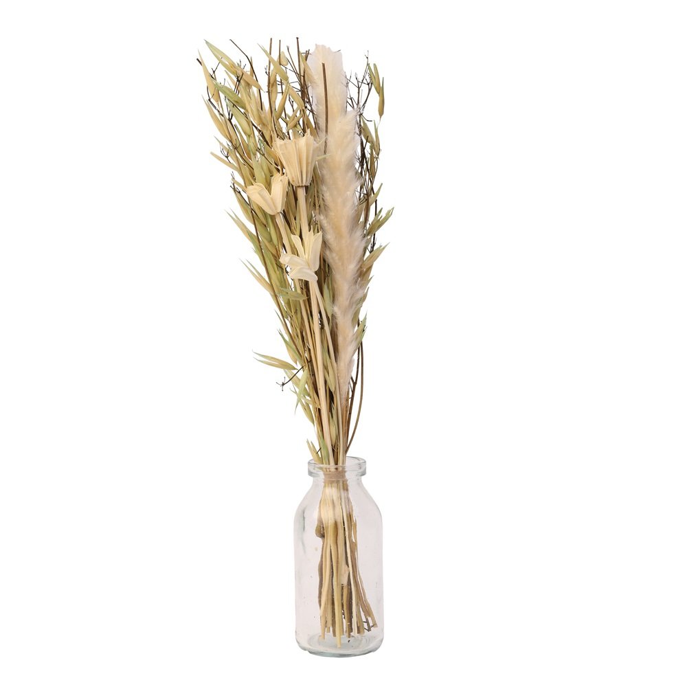 Liliana Dried Floral Bunny Tail (small) image