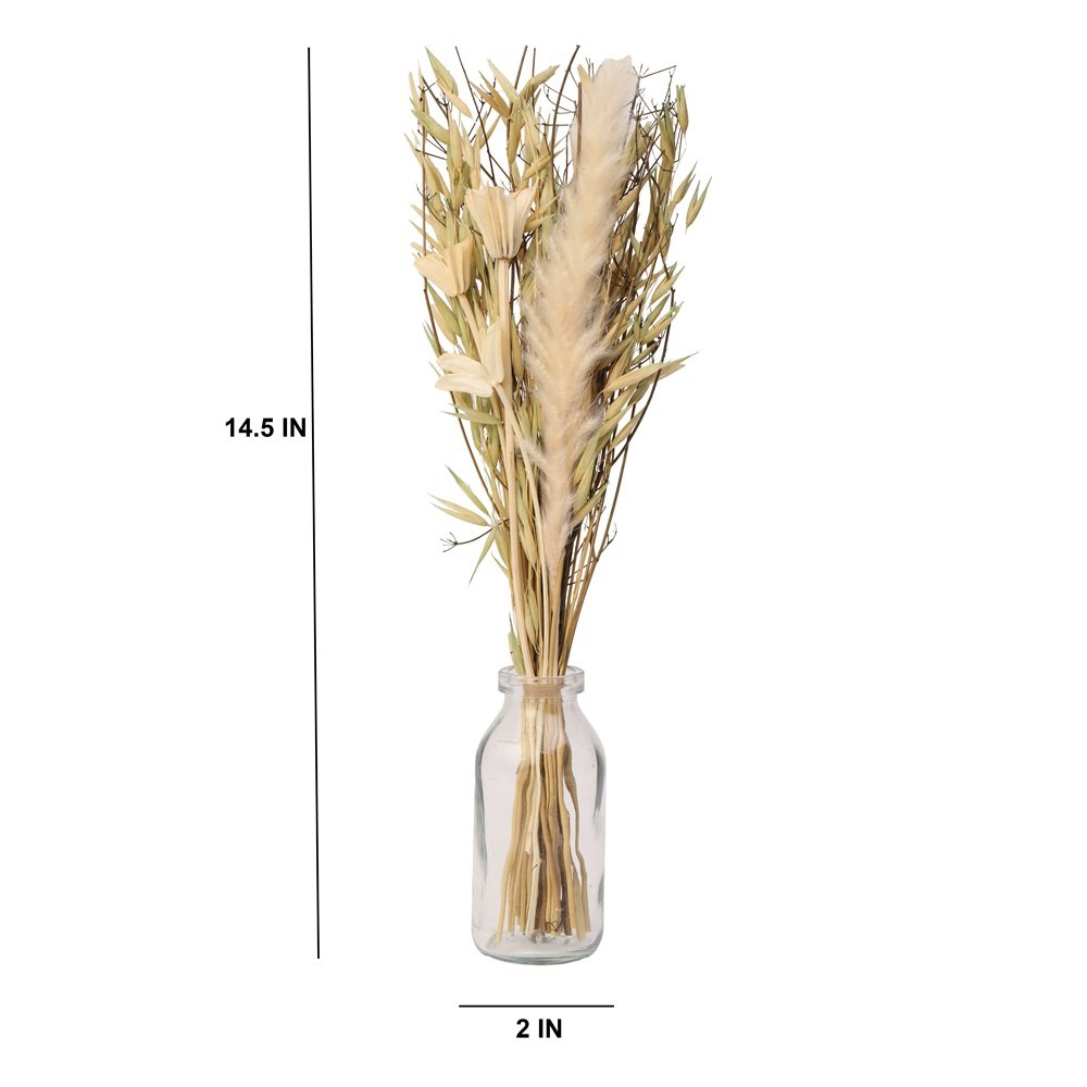 Liliana Dried Floral Bunny Tail (small) image