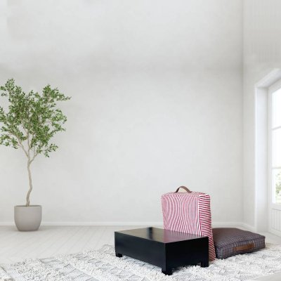 The Multicolor Fabric Square Floor Cushion Set of 2