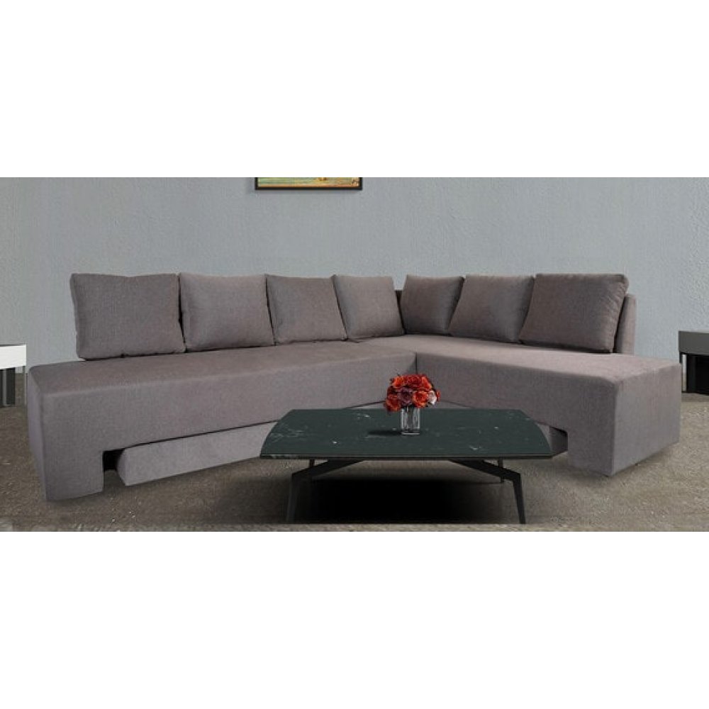 Eva Fabric Pull-Out Sofa Cum Bed in Grey Colour image