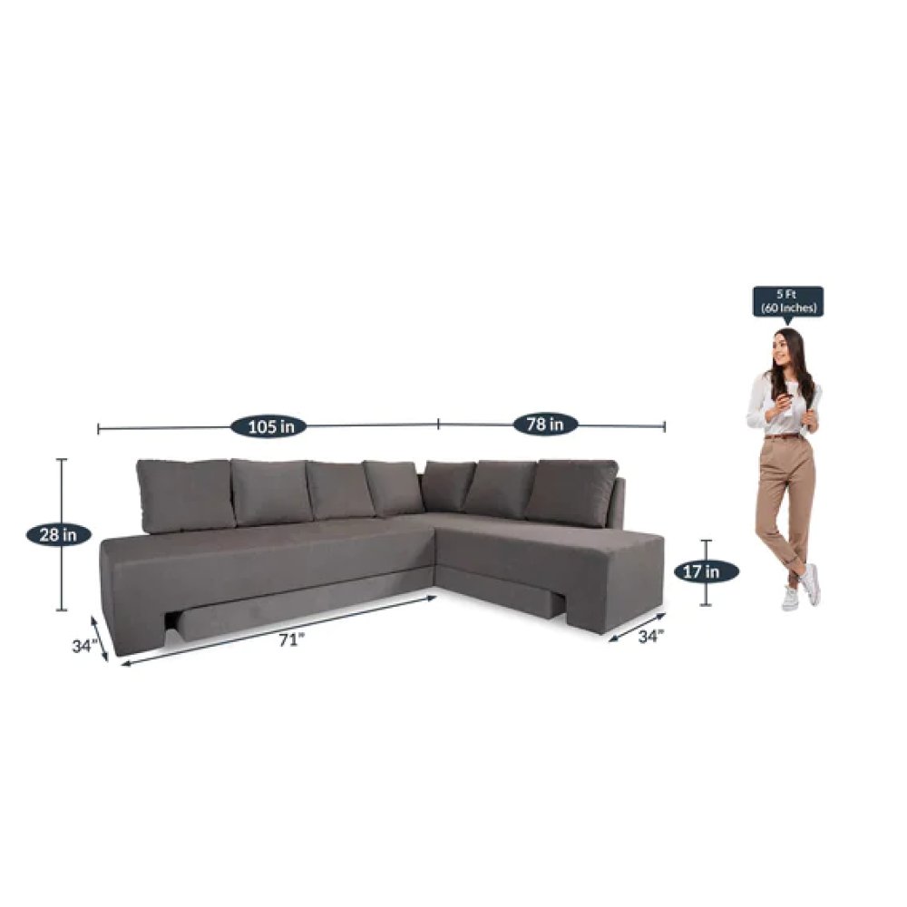Eva Fabric Pull-Out Sofa Cum Bed in Grey Colour image