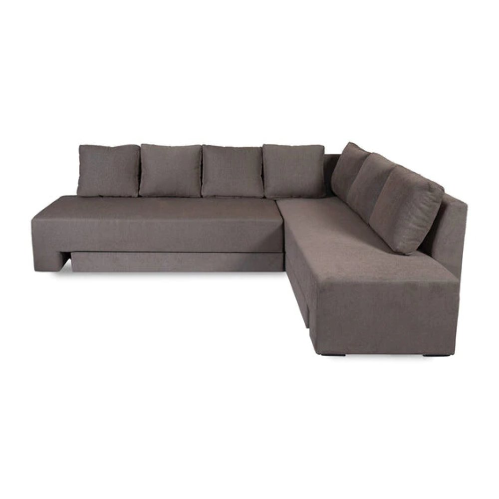 Eva Fabric Pull-Out Sofa Cum Bed in Grey Colour image