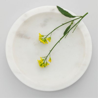 Multipurpose Potpourri Plate