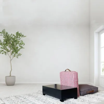 The Multicolor Fabric Square Floor Cushion Set of 2